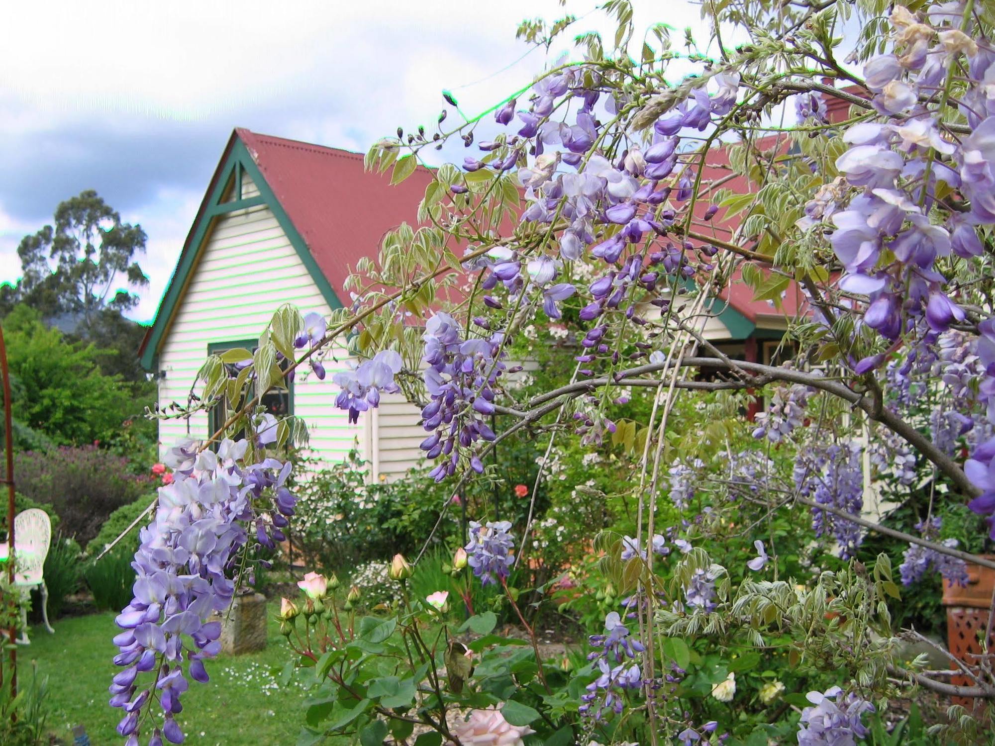 Bed and Breakfast Crabtree House Grove Exterior foto