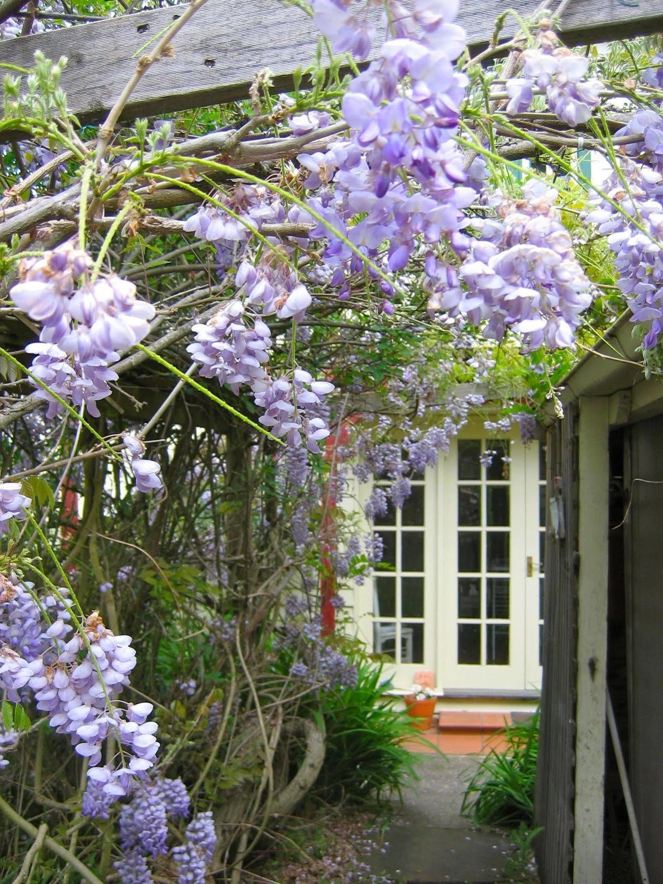 Bed and Breakfast Crabtree House Grove Exterior foto