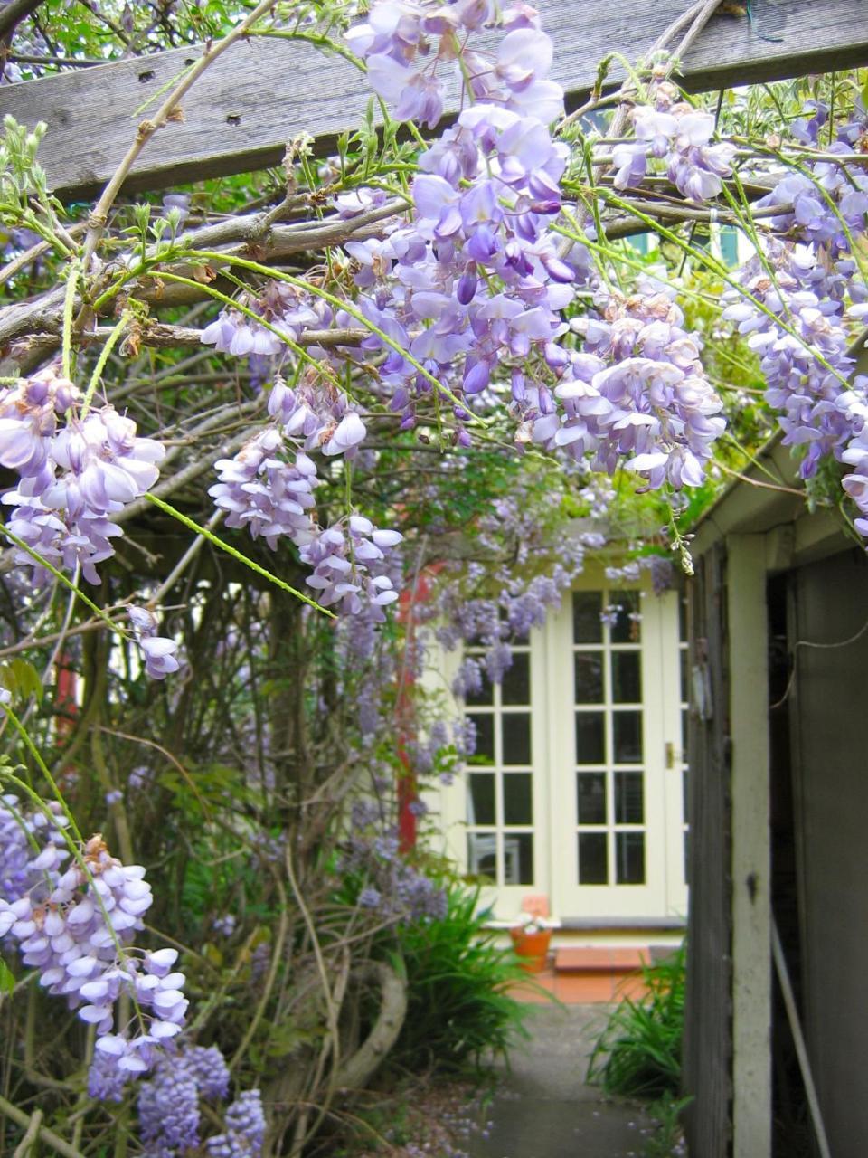 Bed and Breakfast Crabtree House Grove Exterior foto